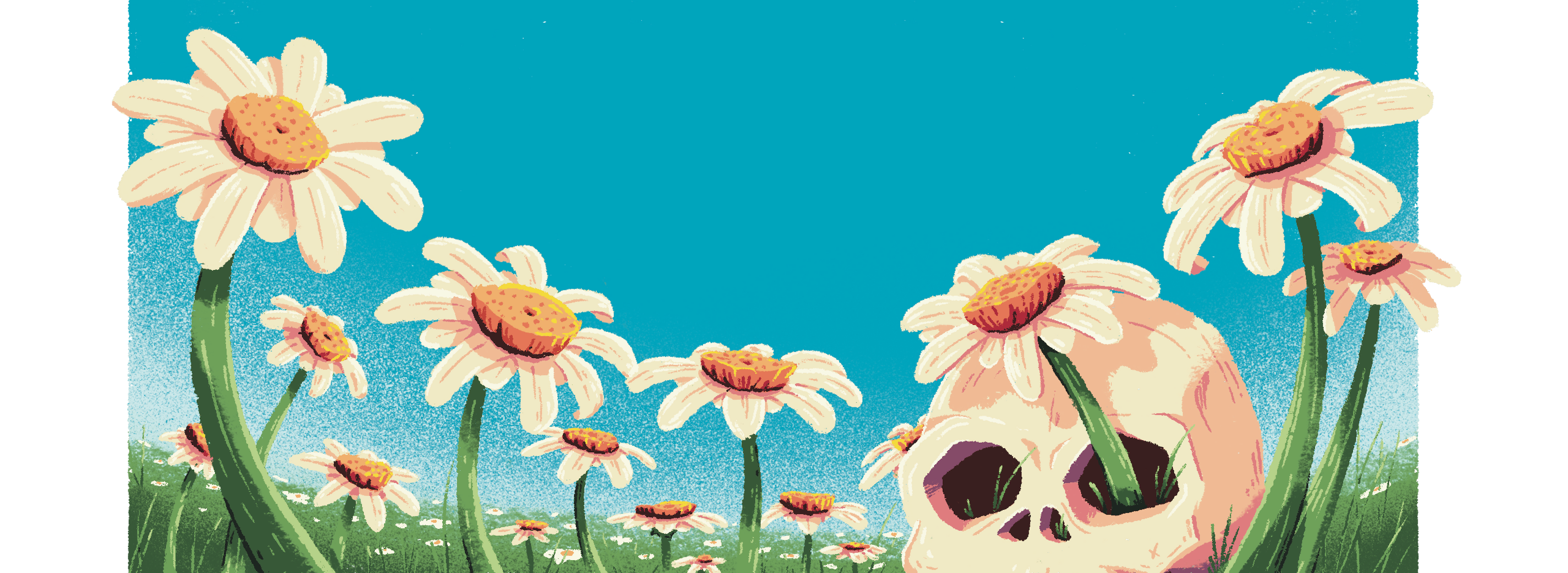 Illustration by Jason Dejaegere of a flower field and a skull hidden by the flowers
